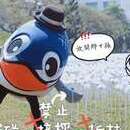 【台南旅遊資訊】愛在臺南 浪漫燈海