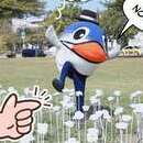 【台南旅遊資訊】愛在臺南 浪漫燈海